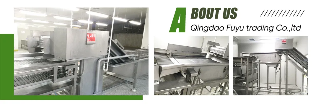 Wholesale Price IQF Green Soybeans Frozen Vegetables Soybeans Edamame in Shell Frozen Beans for Hotel for Super Marekt Qualify Supplier