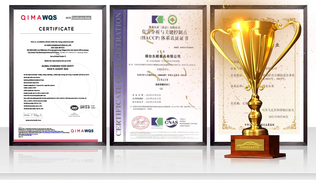 Wholesale Price IQF Green Soybeans Frozen Vegetables Soybeans Edamame in Shell Frozen Beans for Hotel for Super Marekt Qualify Supplier