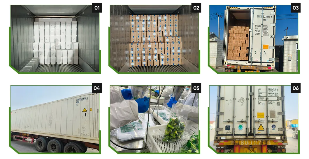 Wholesale Price IQF Green Soybeans Frozen Vegetables Soybeans Edamame in Shell Frozen Beans for Hotel for Super Marekt Qualify Supplier