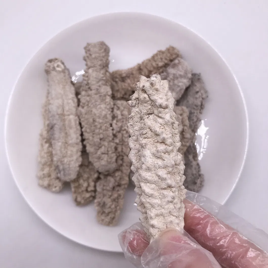 Factory Supply Seafood Dried Sea Cucumb Dry White Sea Cucumber