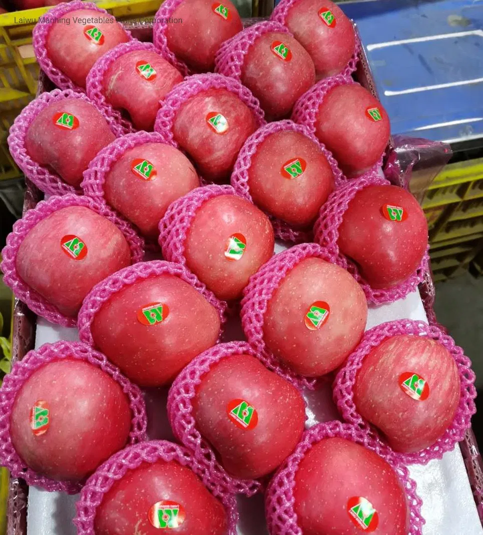 Premium Quality Paper Bagged FUJI