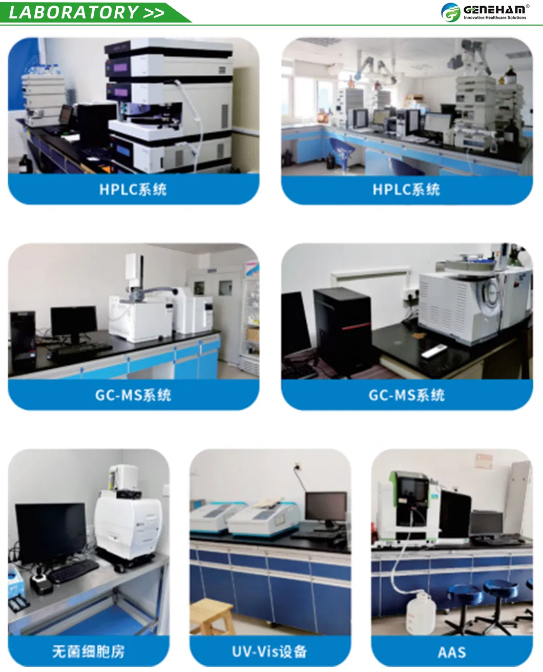 Made in China Security Effective Dietary Supplement Rosemary Extract