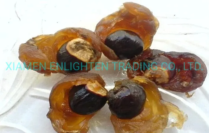 Premium Quality Crispy Longan Buy Dehydrated Dried Fruit Snack