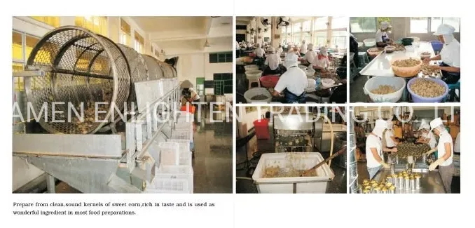 Premium Quality Crispy Longan Buy Dehydrated Dried Fruit Snack