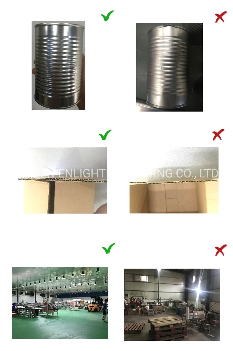 Premium Quality Crispy Longan Buy Dehydrated Dried Fruit Snack