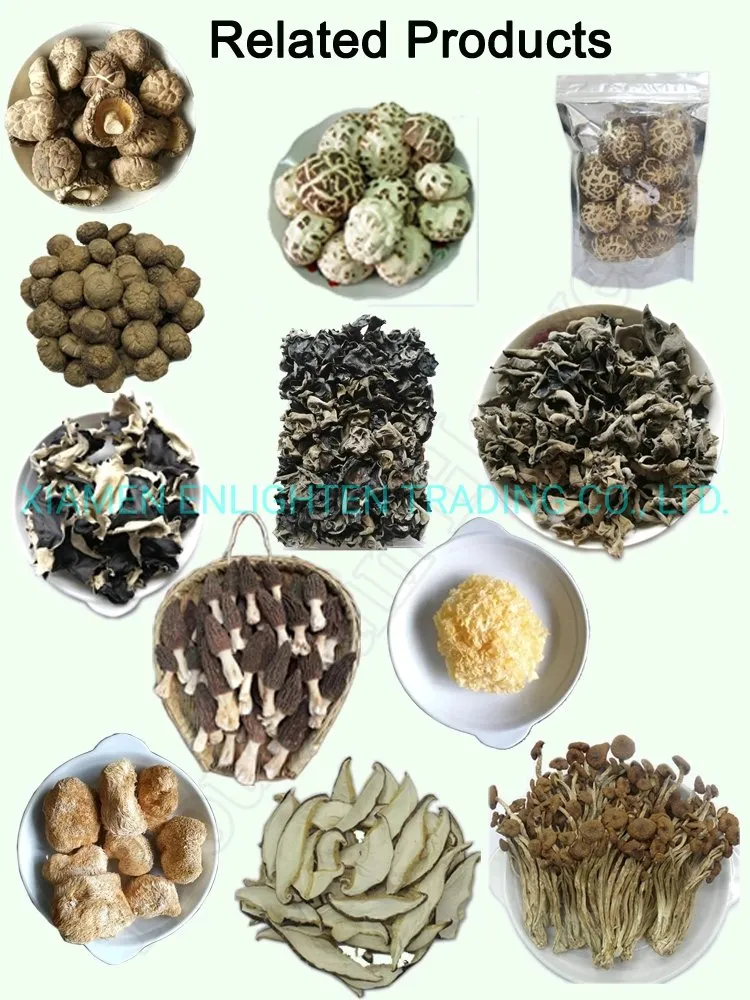 Premium Quality Crispy Longan Buy Dehydrated Dried Fruit Snack