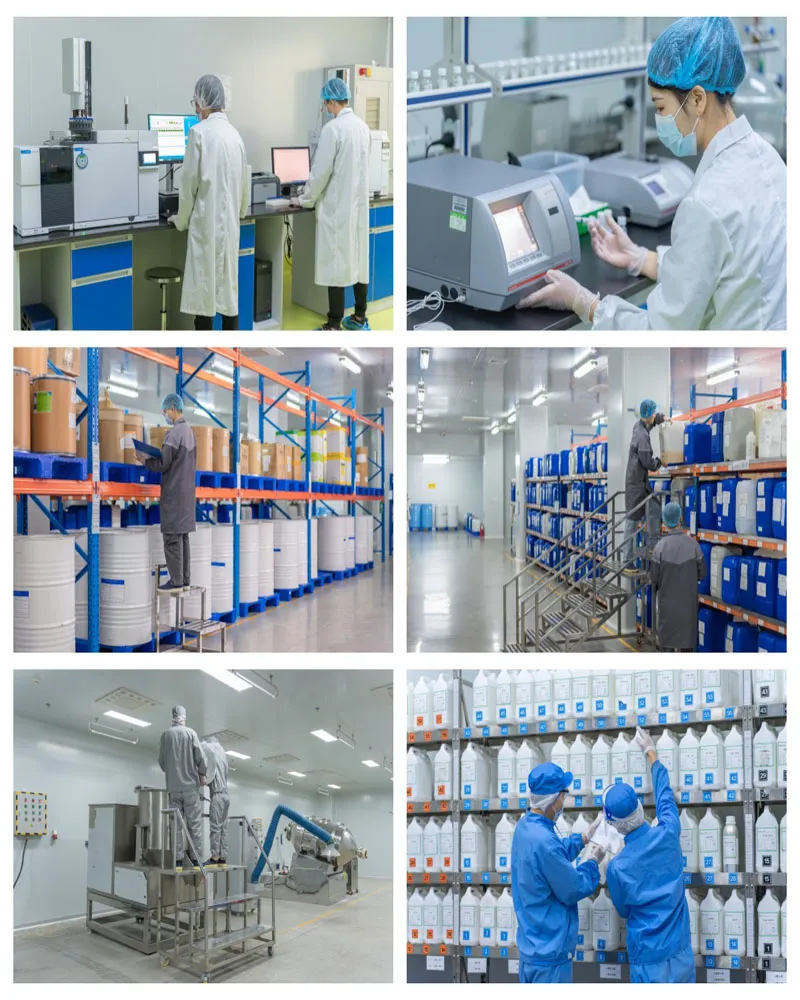 Natural Food Grade Flavor Pineapple and Pineapple Powder Wholesale Price in China