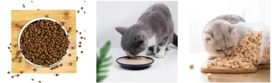 Improve Pet Food Flavor with Chicken Liver Liquid Palatability Enhancer Shandong China