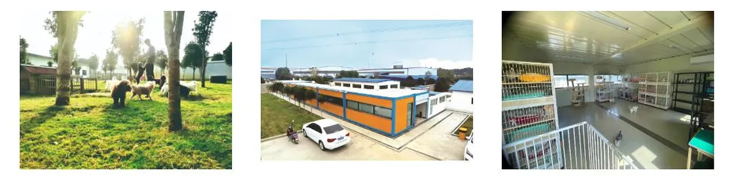 Improve Pet Food Flavor with Chicken Liver Liquid Palatability Enhancer Shandong China