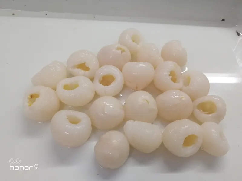 Canned Litchi Fruit Canned Fresh Lychee Food OEM Made in China
