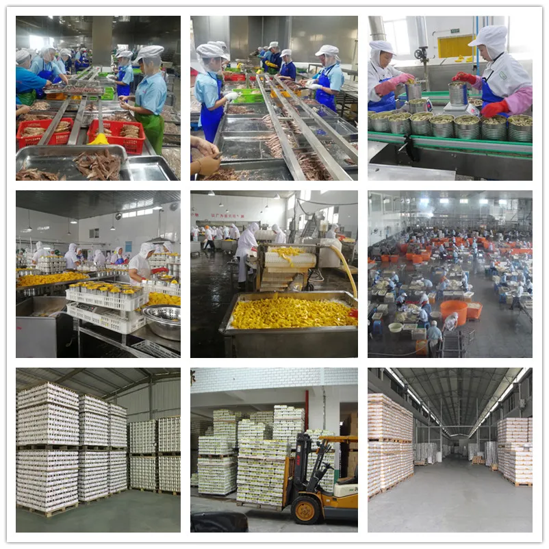 Canned Litchi Fruit Canned Fresh Lychee Food OEM Made in China