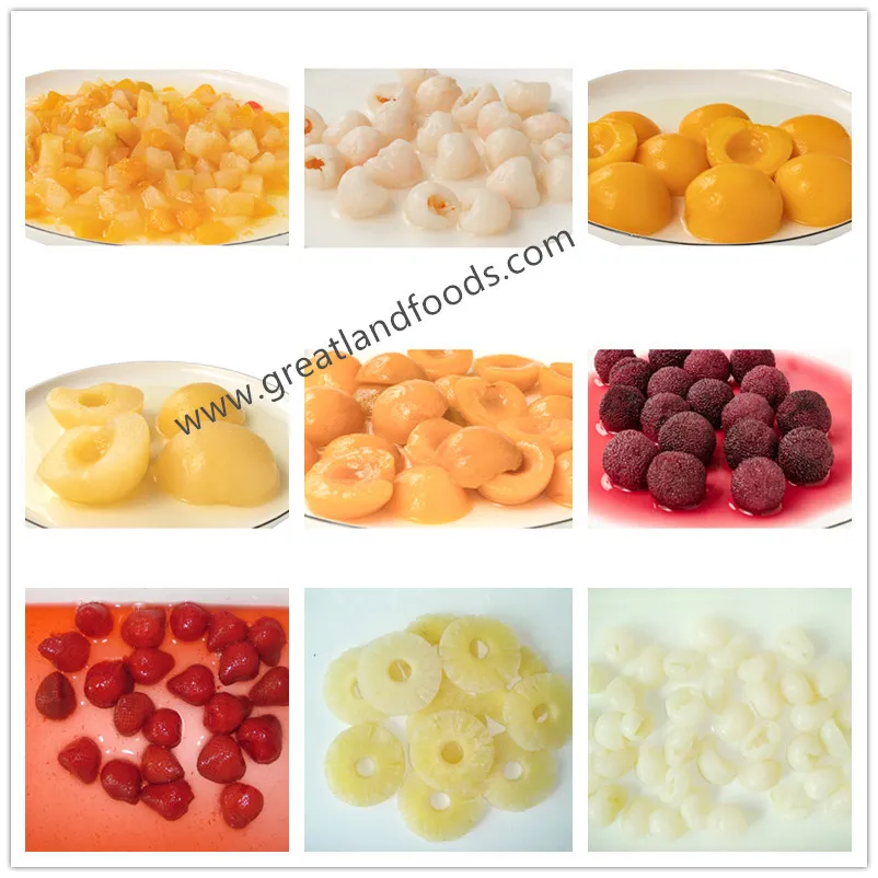 Canned Litchi Fruit Canned Fresh Lychee Food OEM Made in China