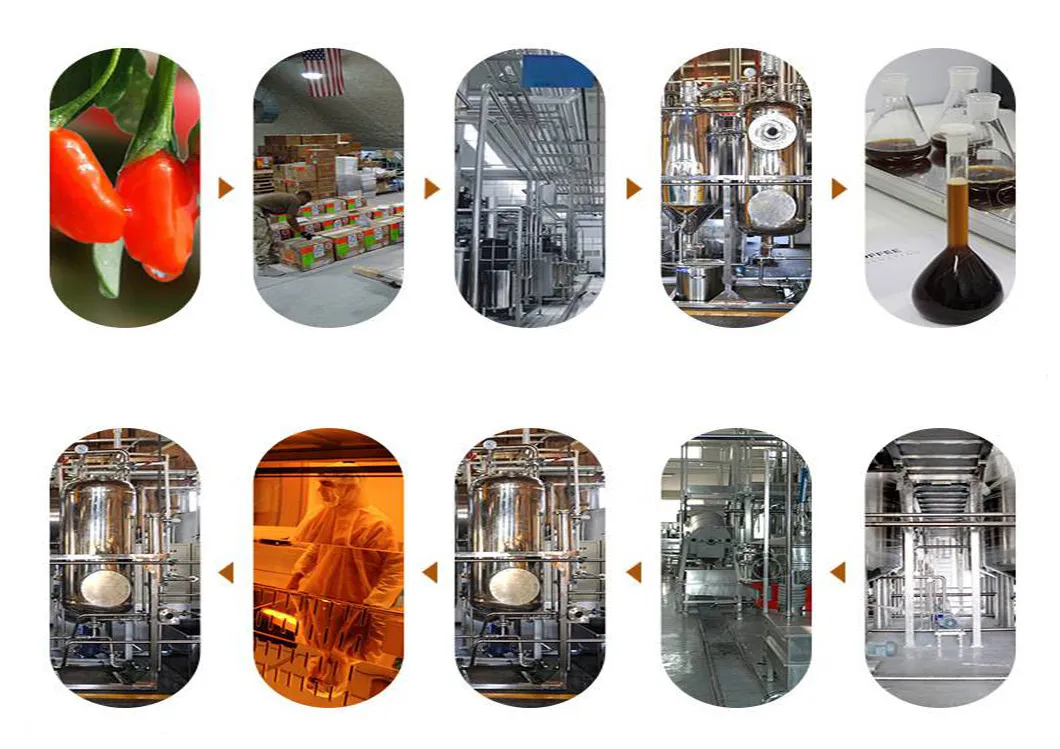 Premium Organic Goji Juice Concentrate Brix 36% for Wholesale