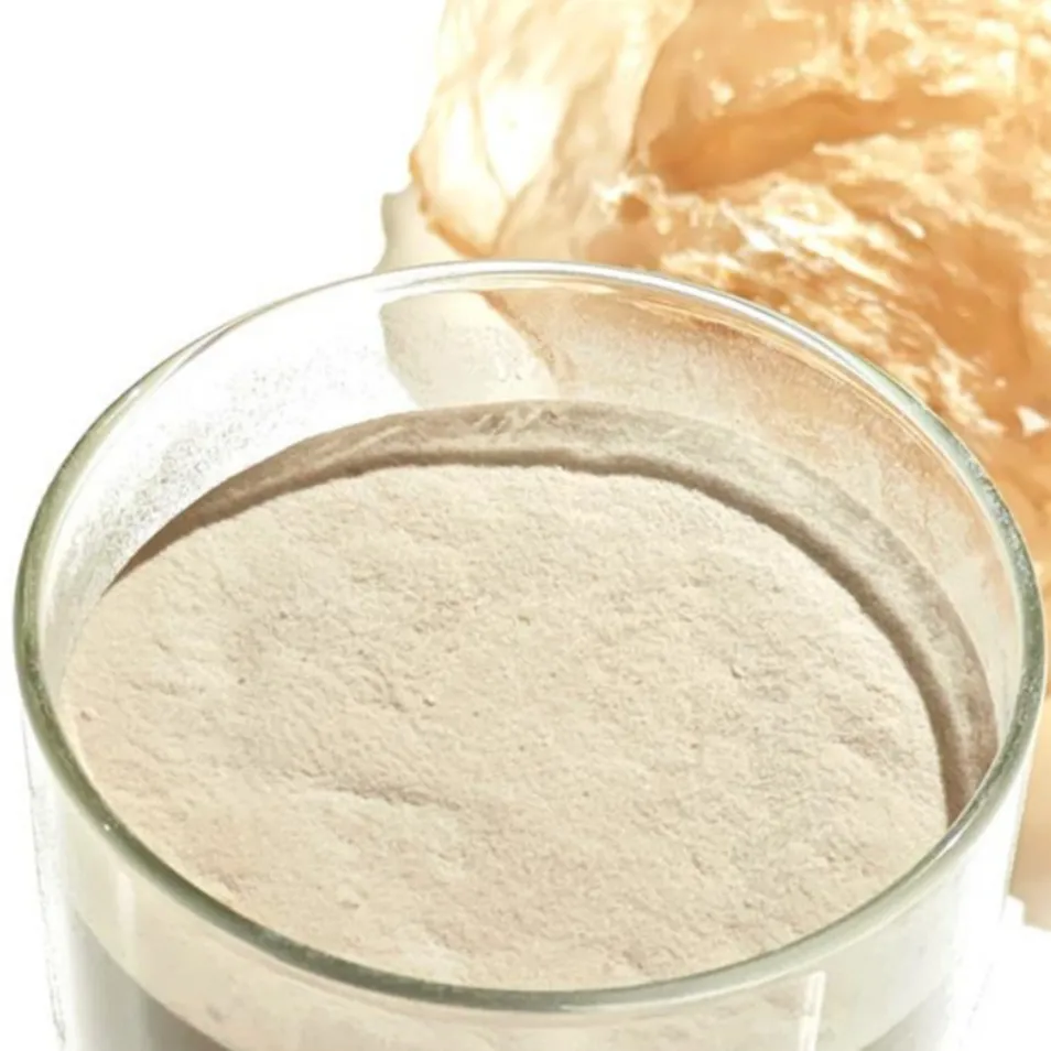 Carrageenan Semi-Refined Kappa 120 Mesh Food Thickener for Soft Candy, Pudding, Meat Product