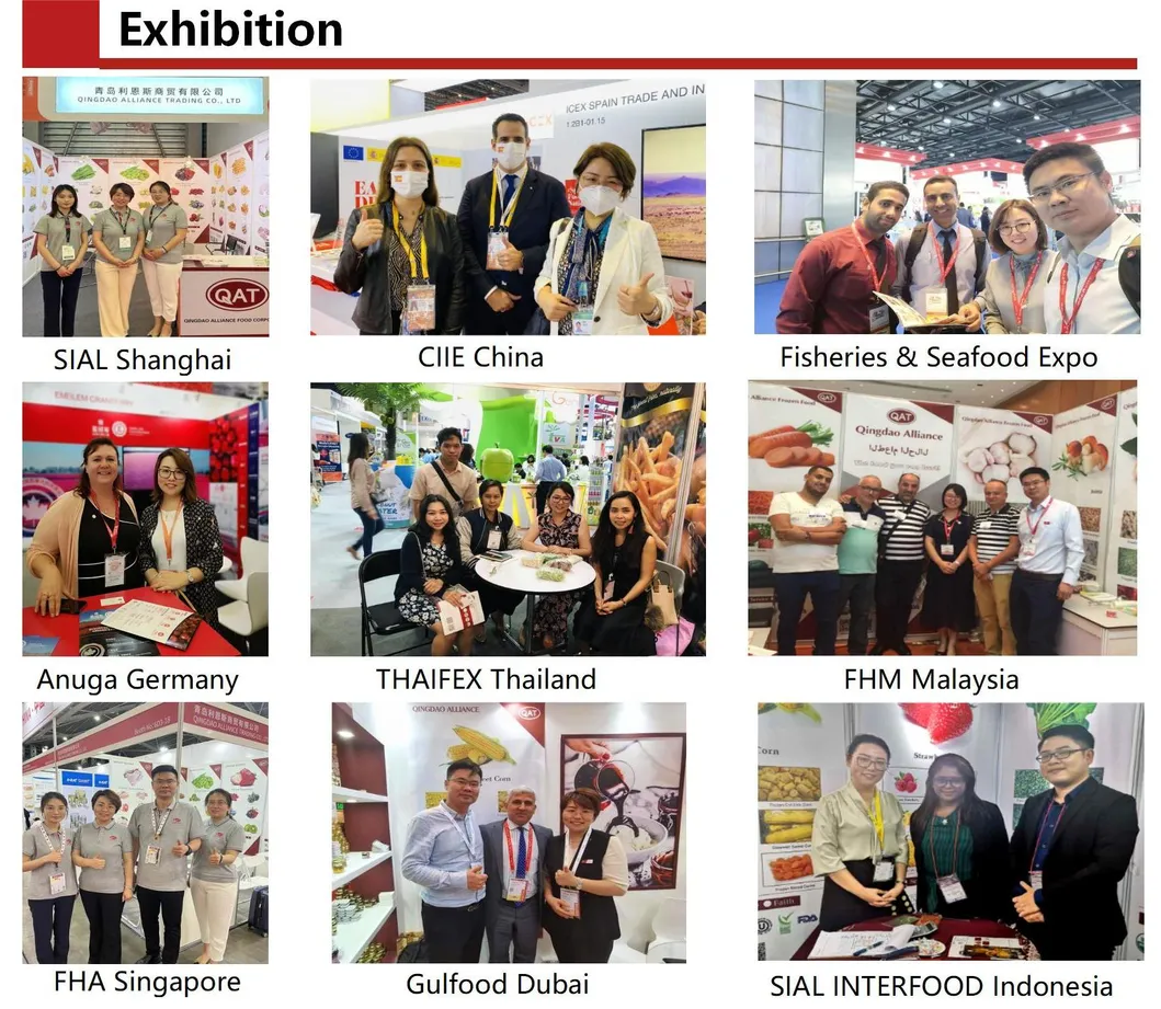 Authentic Cantonese Shaomai Dumplings - Premium Quality for Sale