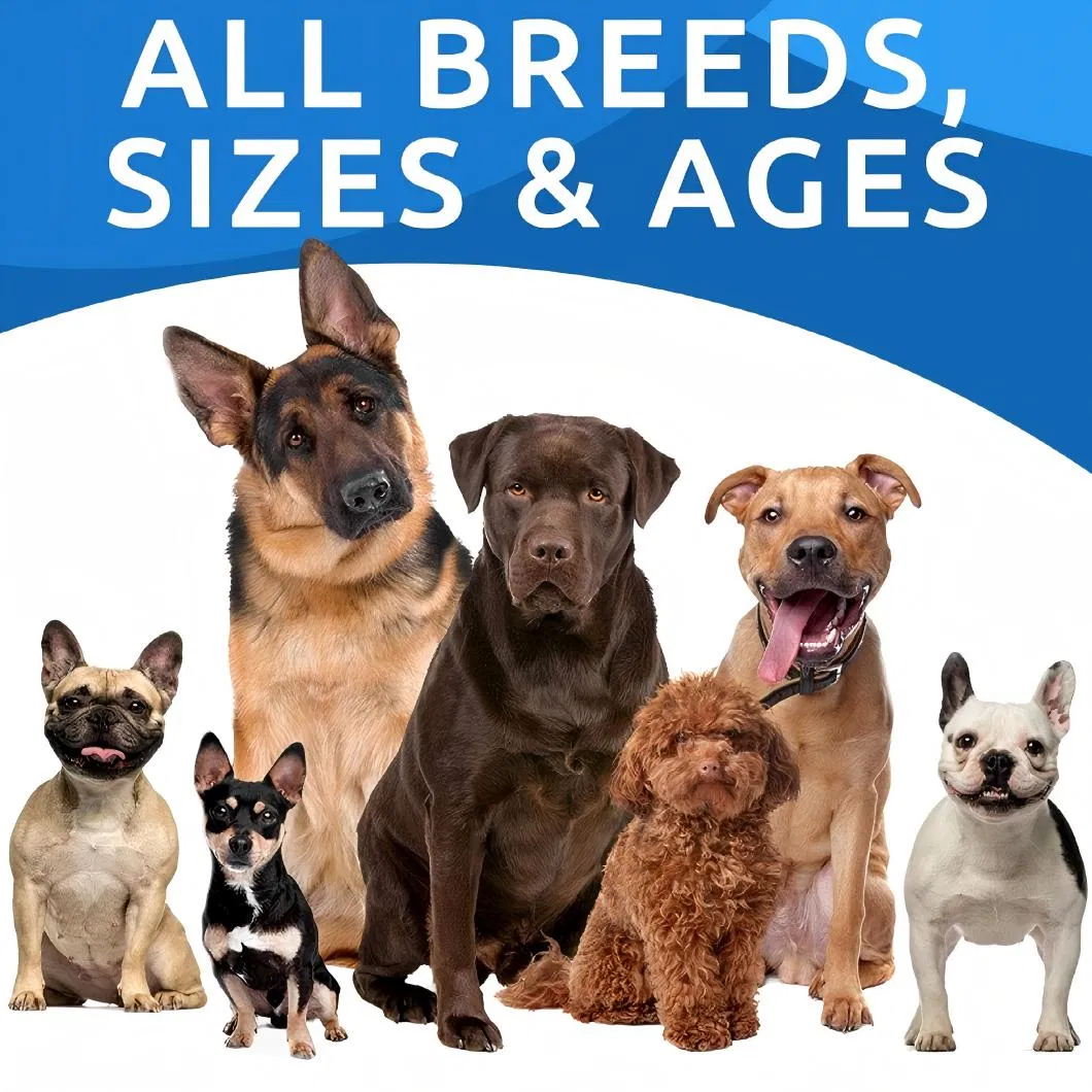 Goat Milk Puppy Milk Replacer for Pets Daily Nutrition Immune Booster Pet Supplement OEM