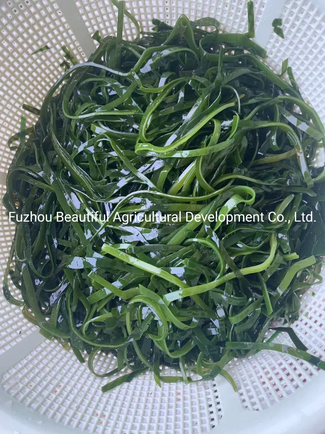 Shredded Seaweed Laminaria Japomica Cut Dried