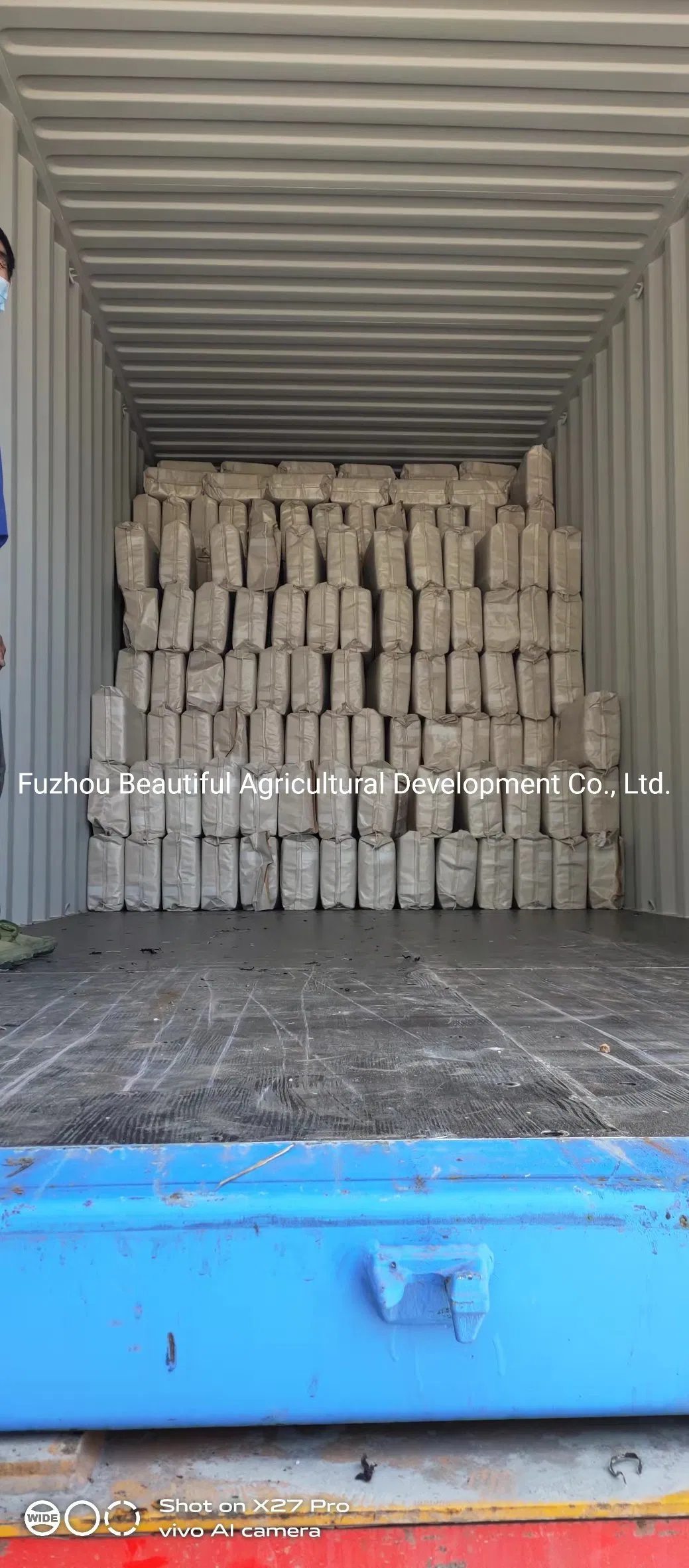 Shredded Seaweed Laminaria Japomica Cut Dried