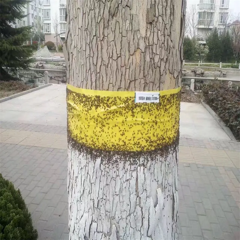 Garden Double-Sided Non-Toxic Sticky Glue Roll