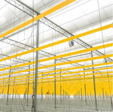 Garden Double-Sided Non-Toxic Sticky Glue Roll