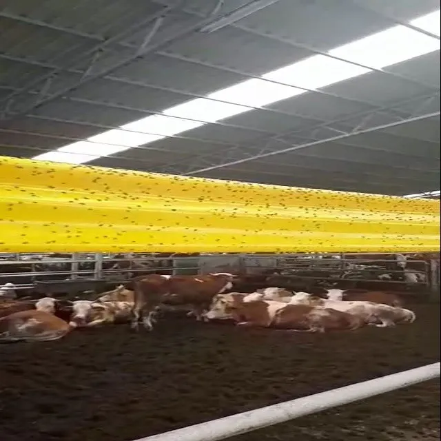 Garden Double-Sided Non-Toxic Sticky Glue Roll