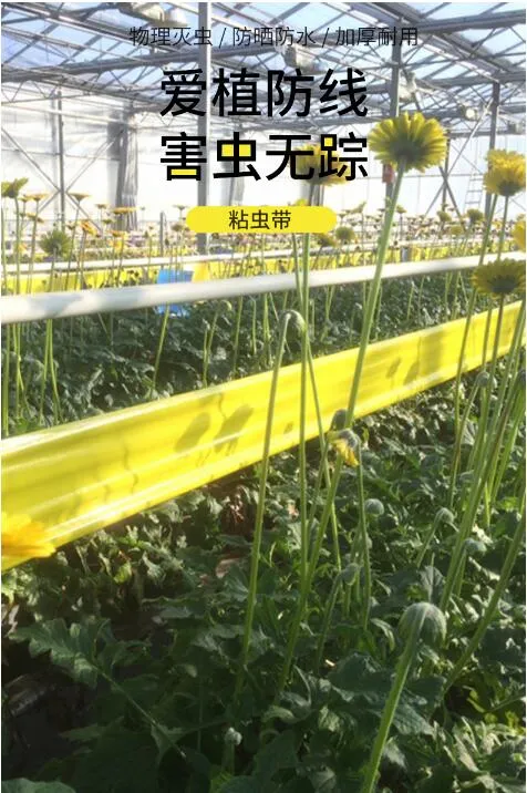 Garden Double-Sided Non-Toxic Sticky Glue Roll