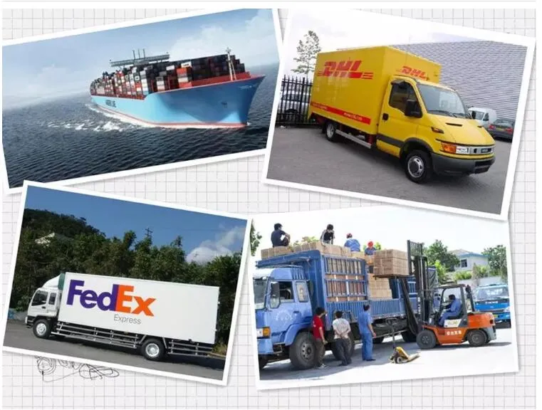 Garden Double-Sided Non-Toxic Sticky Glue Roll