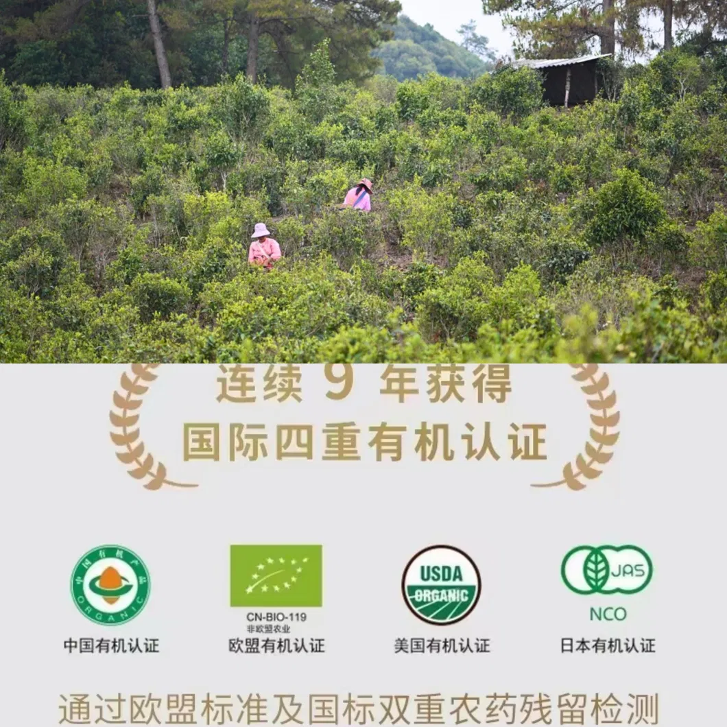 Health Yunnan Premium Silvery Hair Jasmine Flower Green Tea