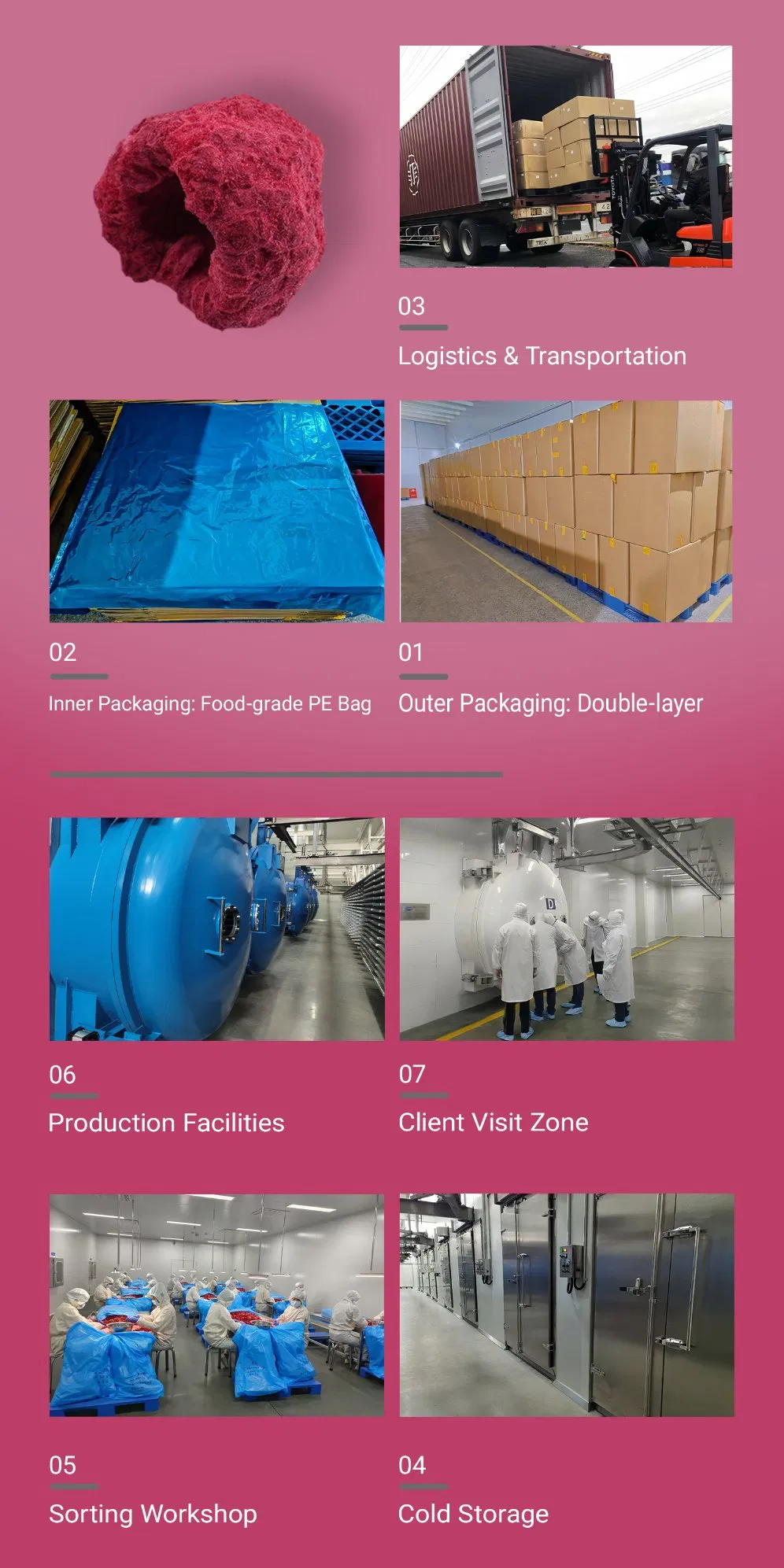 Hot Sale Fd Freeze Dried Raspberry Whole