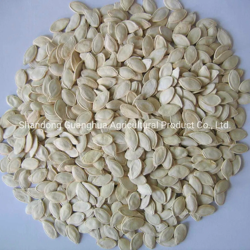 EU Top Quality Shine Skin Pumpkin Seeds
