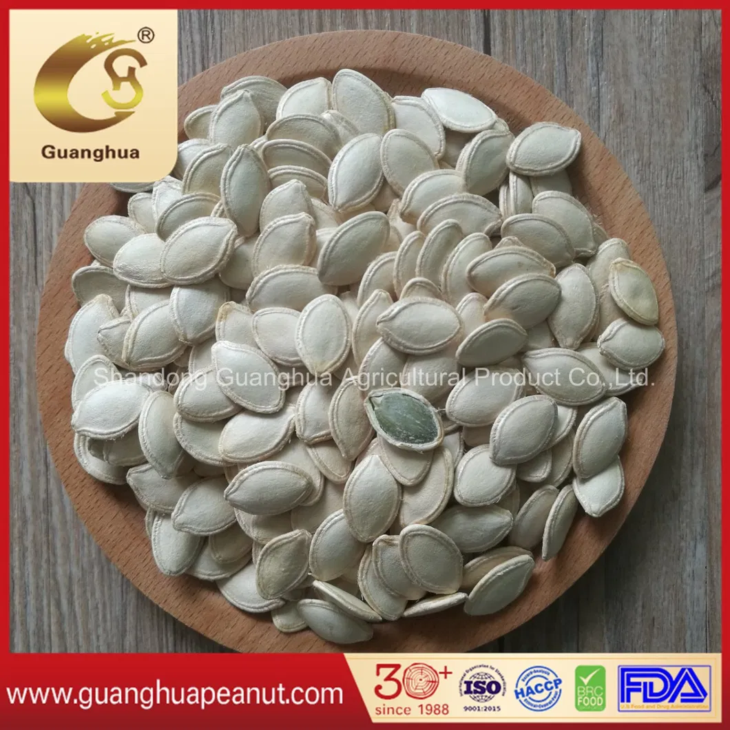 EU Top Quality Shine Skin Pumpkin Seeds