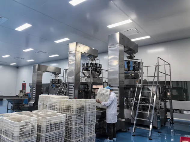 Chinese Sweet Dry Red Jujube Dry Dates