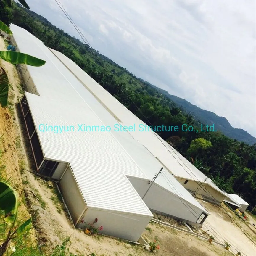 Steel Frame Poultry Farm Chicken Shed and Green House