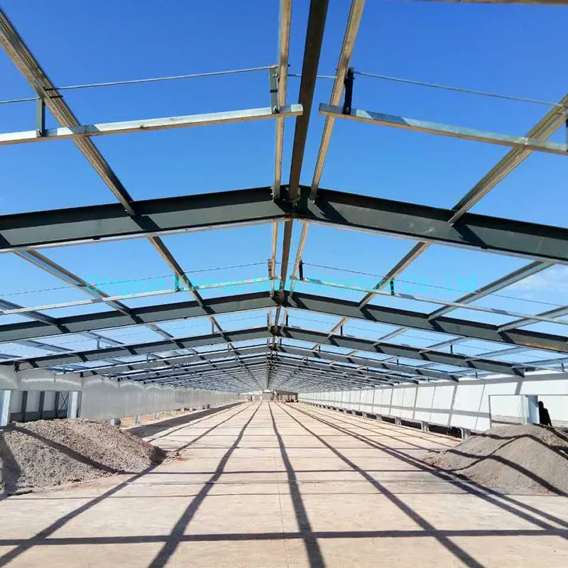 Steel Frame Poultry Farm Chicken Shed and Green House