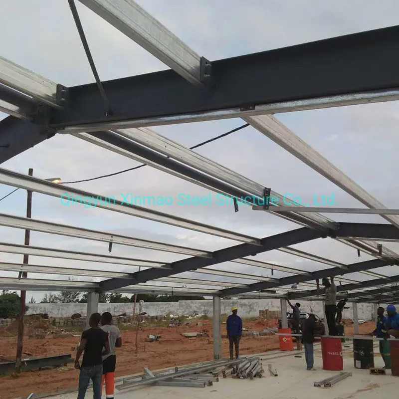 Steel Frame Poultry Farm Chicken Shed and Green House