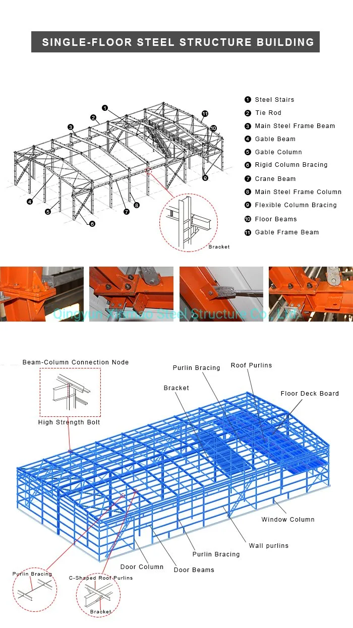 Steel Frame Poultry Farm Chicken Shed and Green House