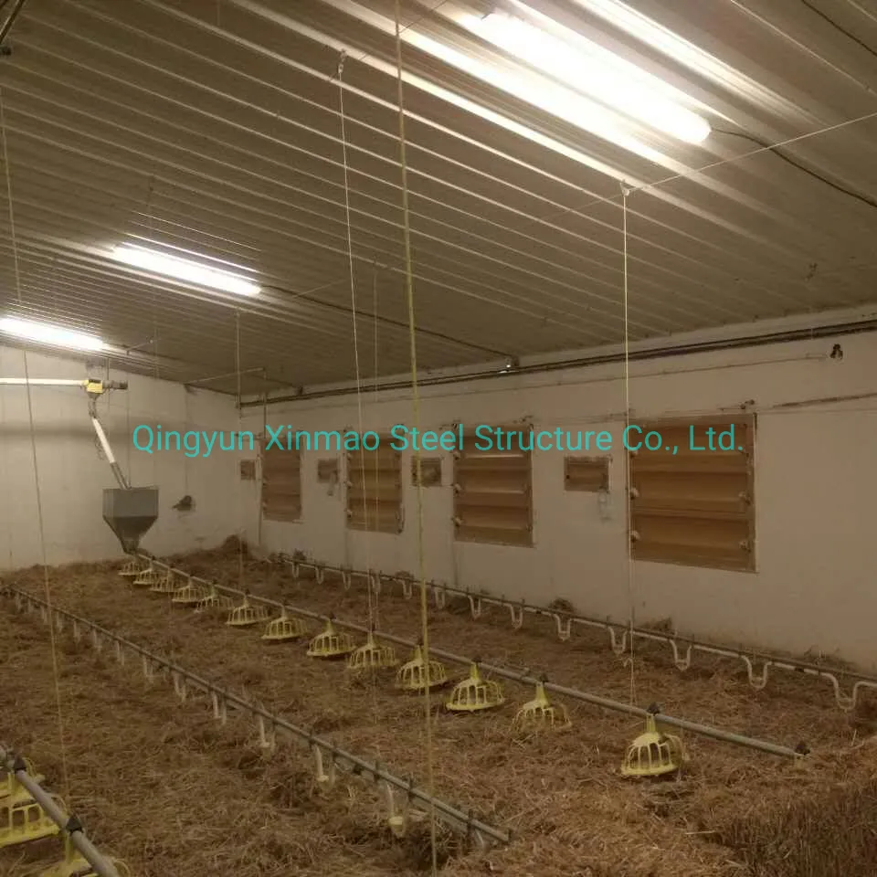 Steel Frame Poultry Farm Chicken Shed and Green House