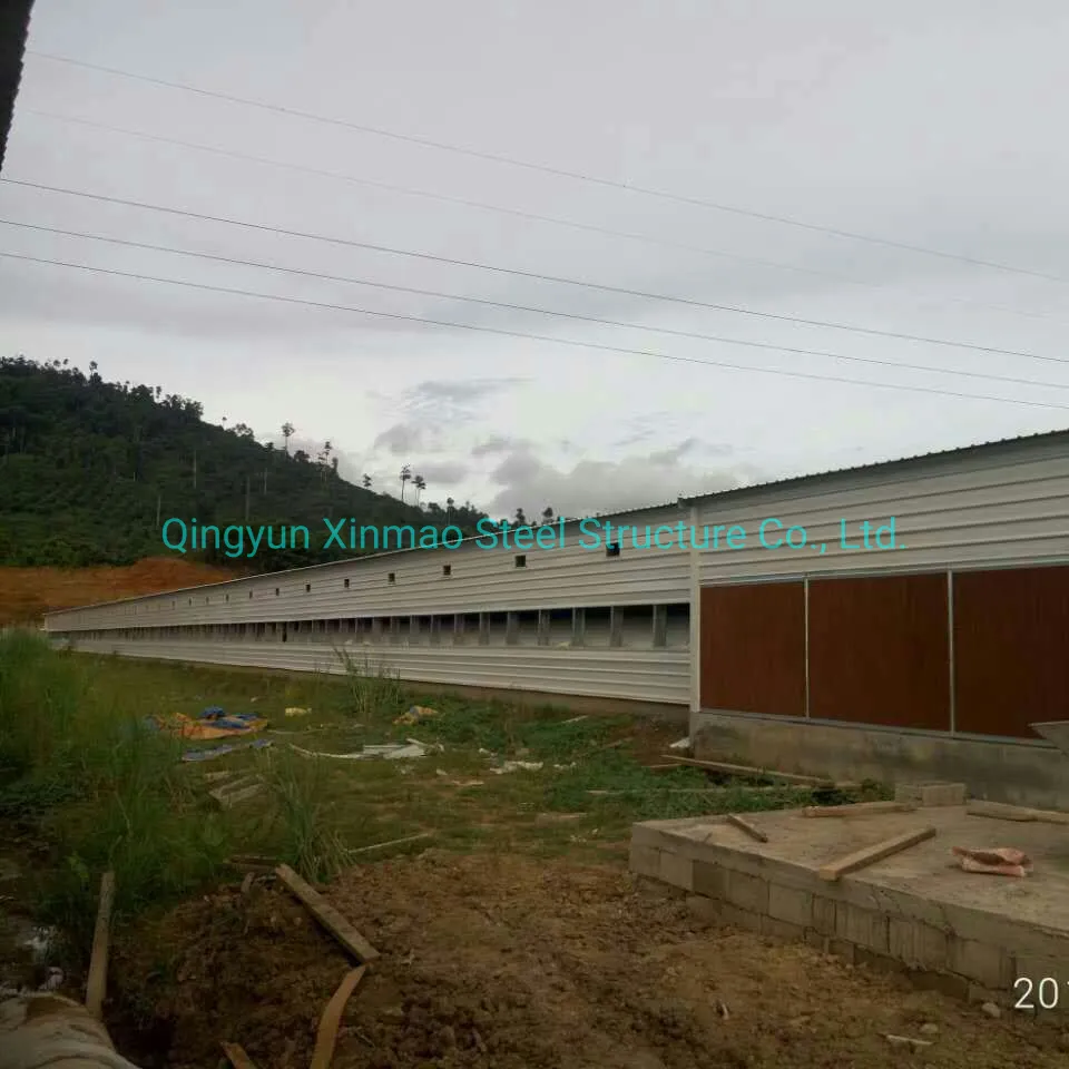Steel Frame Poultry Farm Chicken Shed and Green House