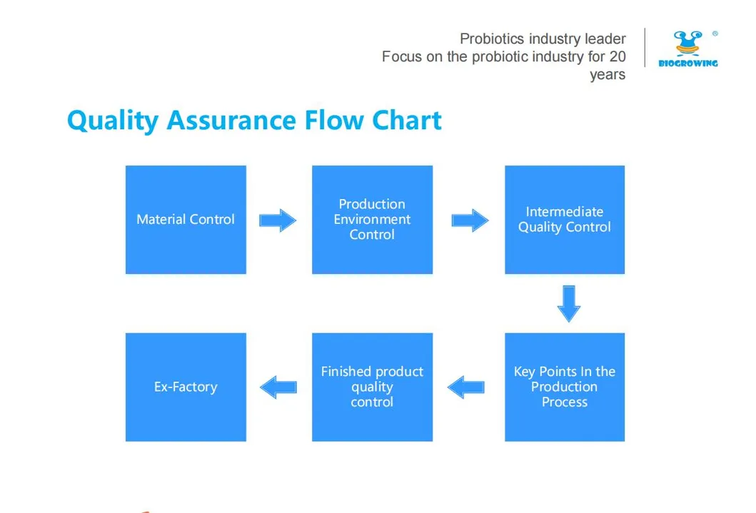 Lactobacillus Acidophilus for Human Gut Health Ibs
