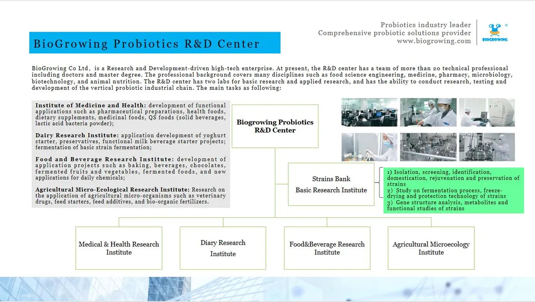 Lactobacillus Acidophilus for Human Gut Health Ibs