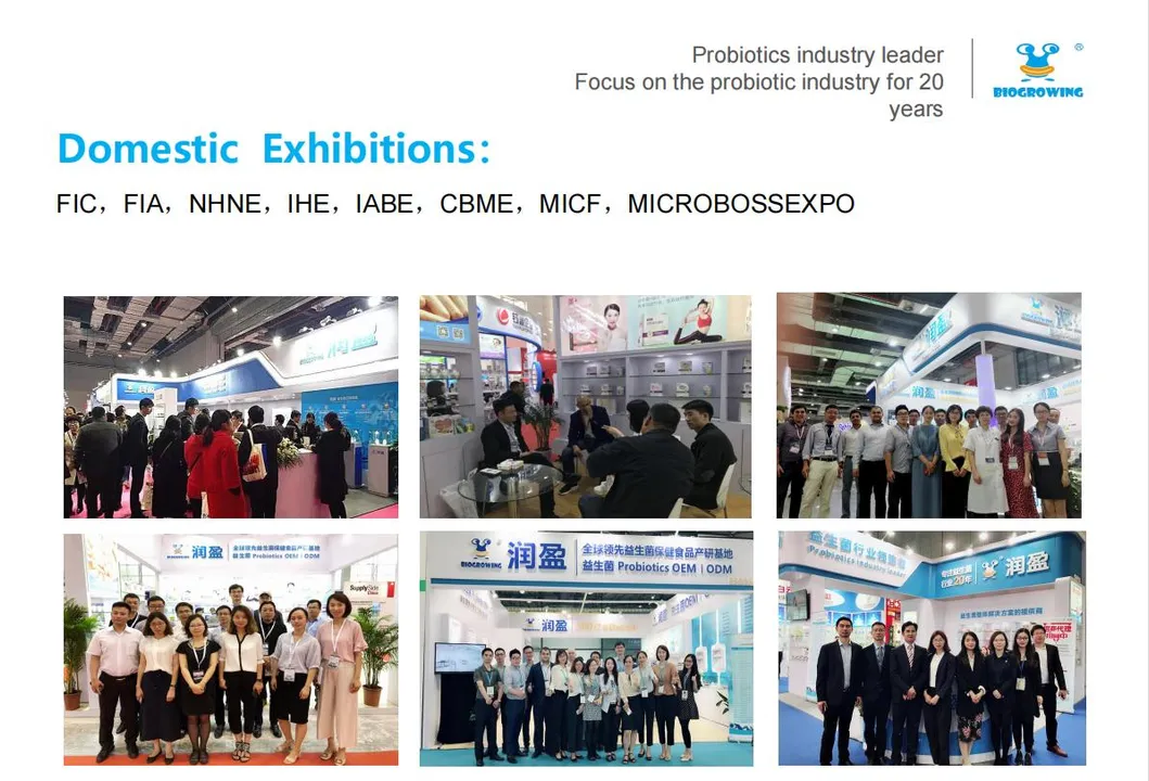 Lactobacillus Acidophilus for Human Gut Health Ibs