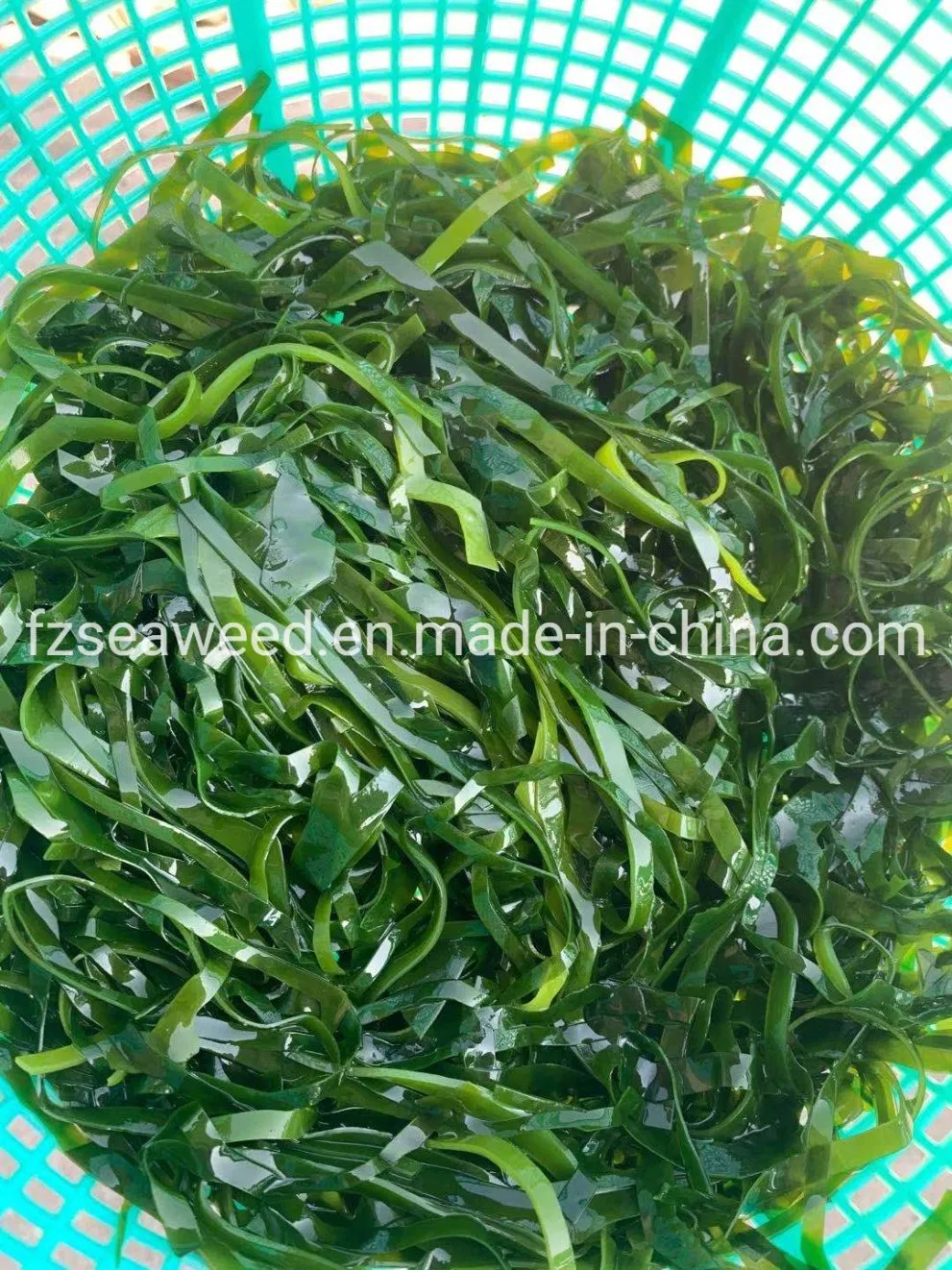 Food Grade Seaweed Shredded Laminaria Dried Cut Kelp