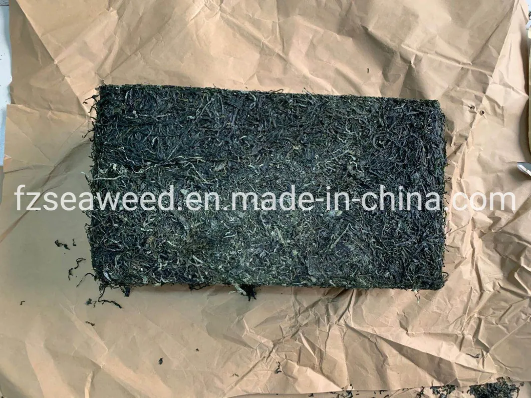 Food Grade Seaweed Shredded Laminaria Dried Cut Kelp