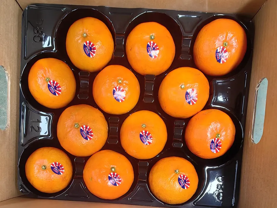 Fresh Sweet Mandarin Tangerine Oranges From China