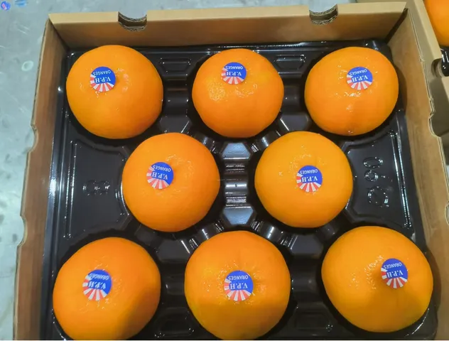 Fresh Sweet Mandarin Tangerine Oranges From China