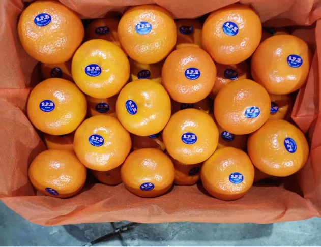 Fresh Sweet Mandarin Tangerine Oranges From China