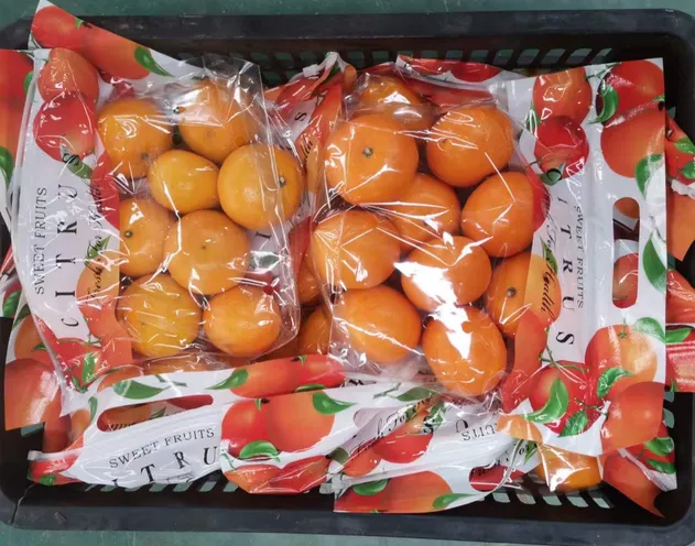 Fresh Sweet Mandarin Tangerine Oranges From China