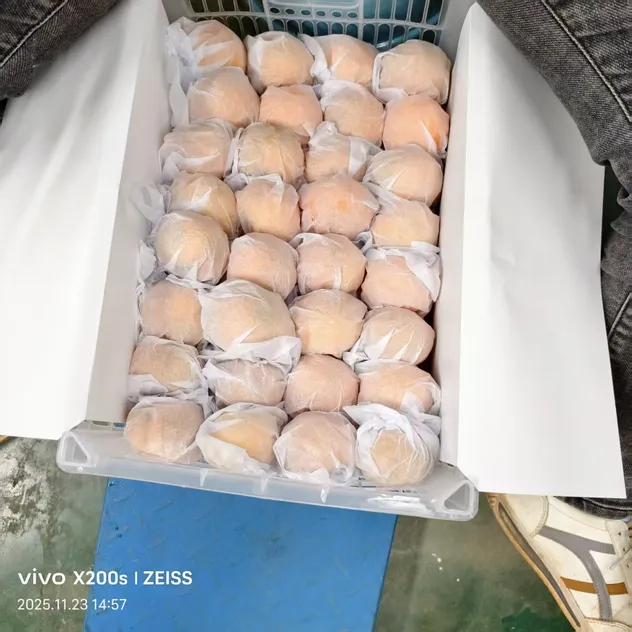 Fresh Sweet Mandarin Tangerine Oranges From China