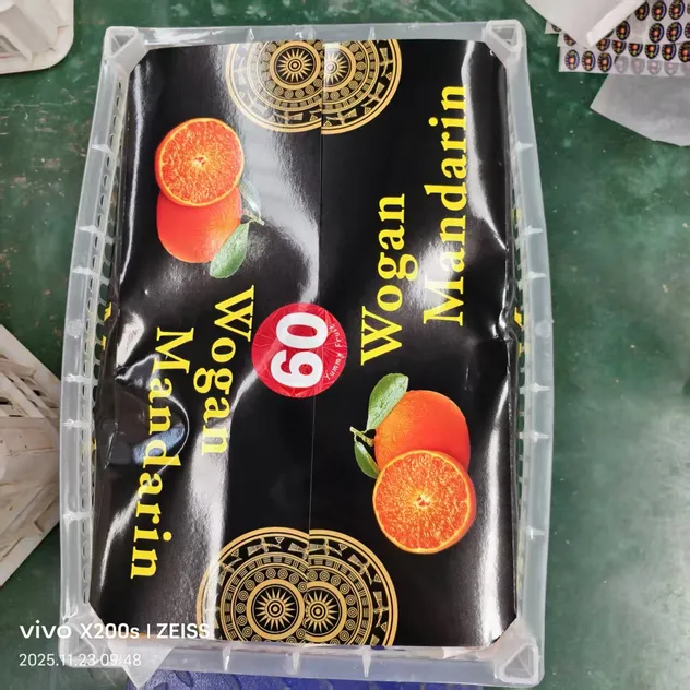 Fresh Sweet Mandarin Tangerine Oranges From China