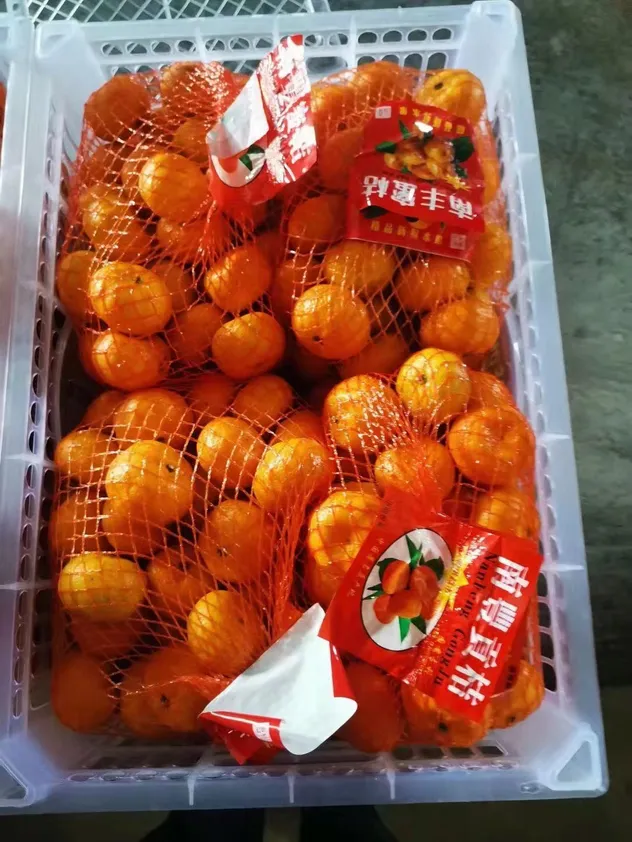 Fresh Sweet Mandarin Tangerine Oranges From China